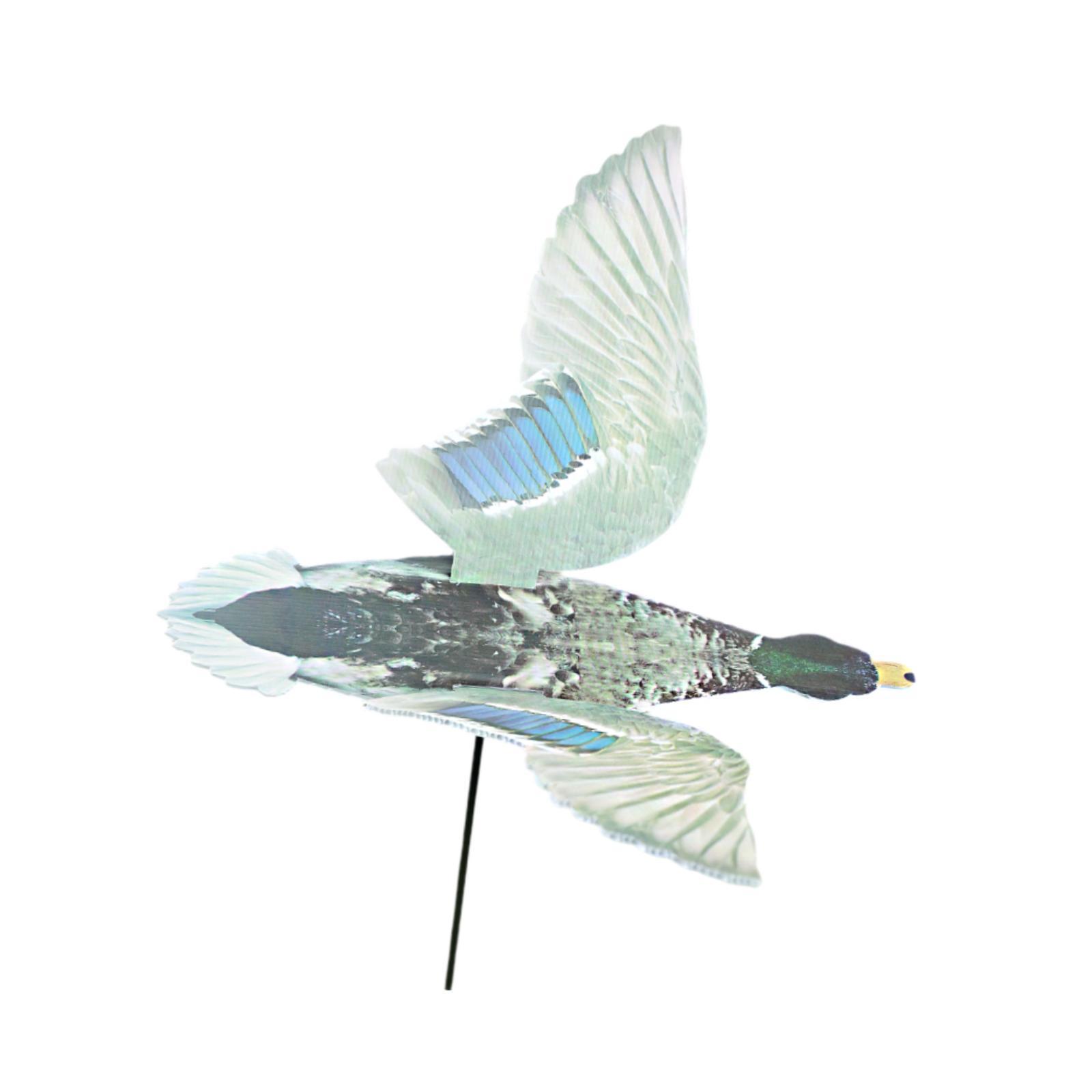 Outdoor Hunting Duck Decoy Mul - Hunting Outdoor Decor review and price