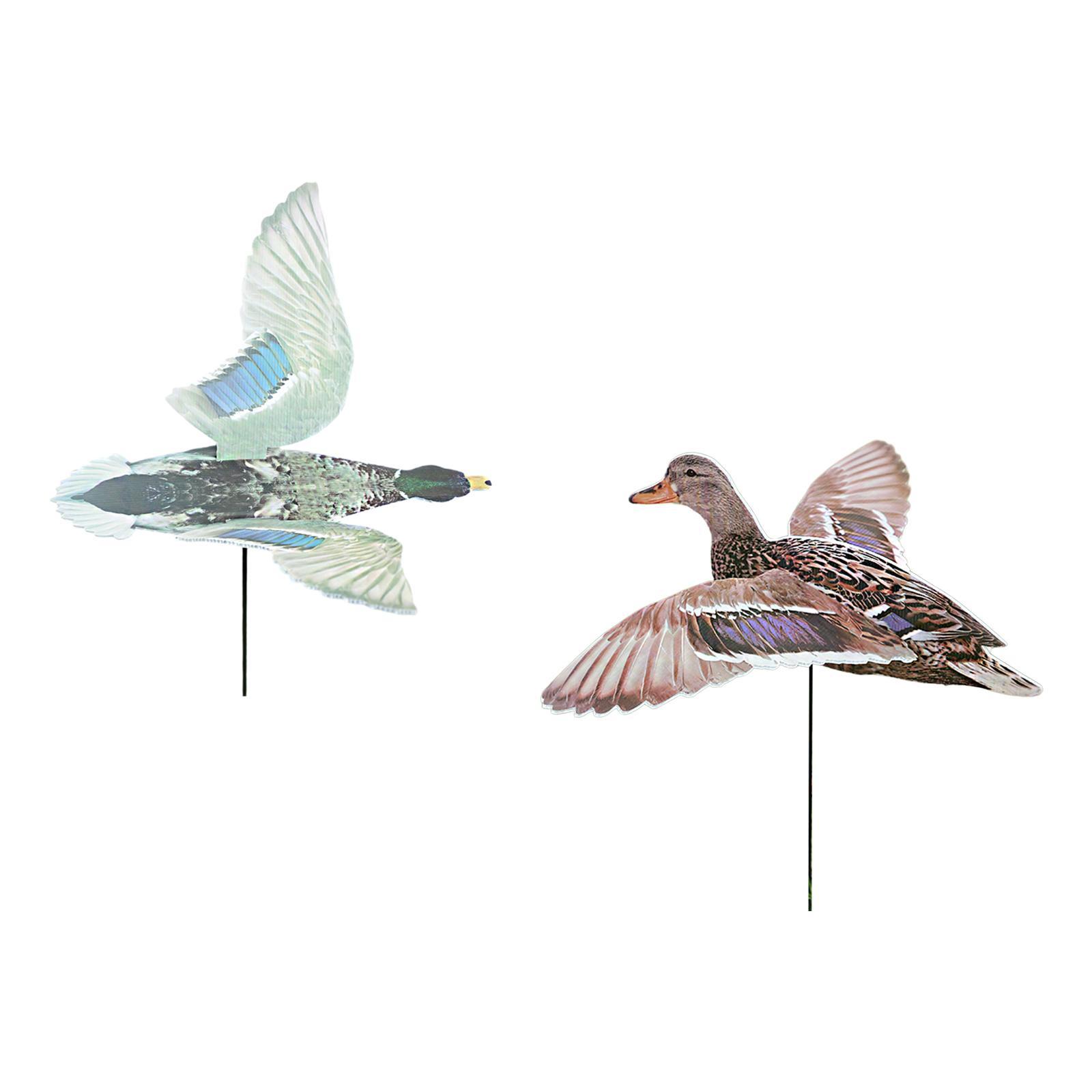 Outdoor Hunting Duck Decoy Mul - Hunting Outdoor Decor review and price