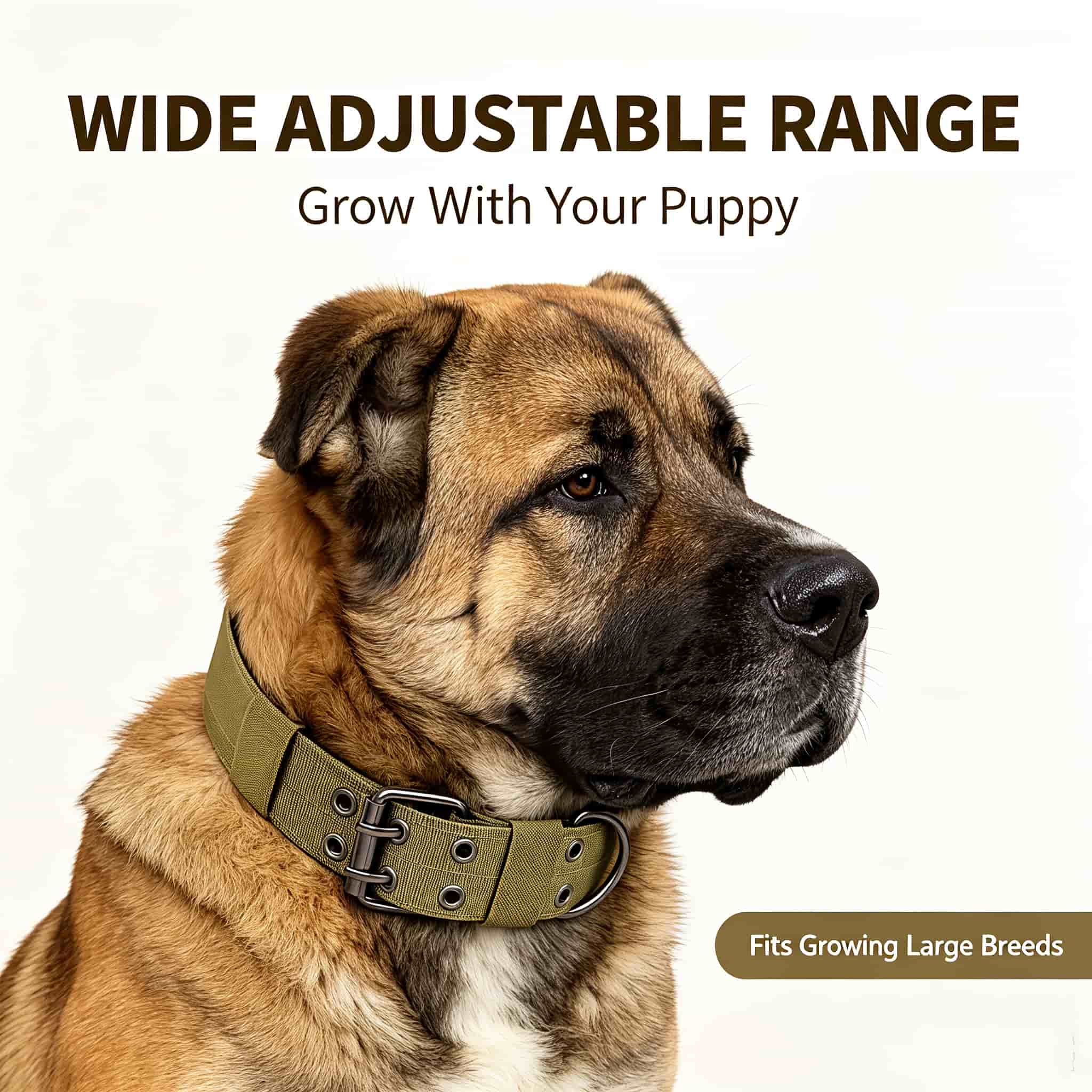 Camo Tactical Dog Collar Heavy - Outdoor Hunting Dog Collar review and price