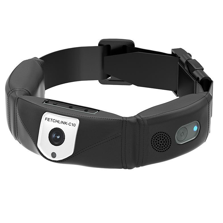 High Precision Dog GPS Tracker - Outdoor Hunting Dog Collar review and price
