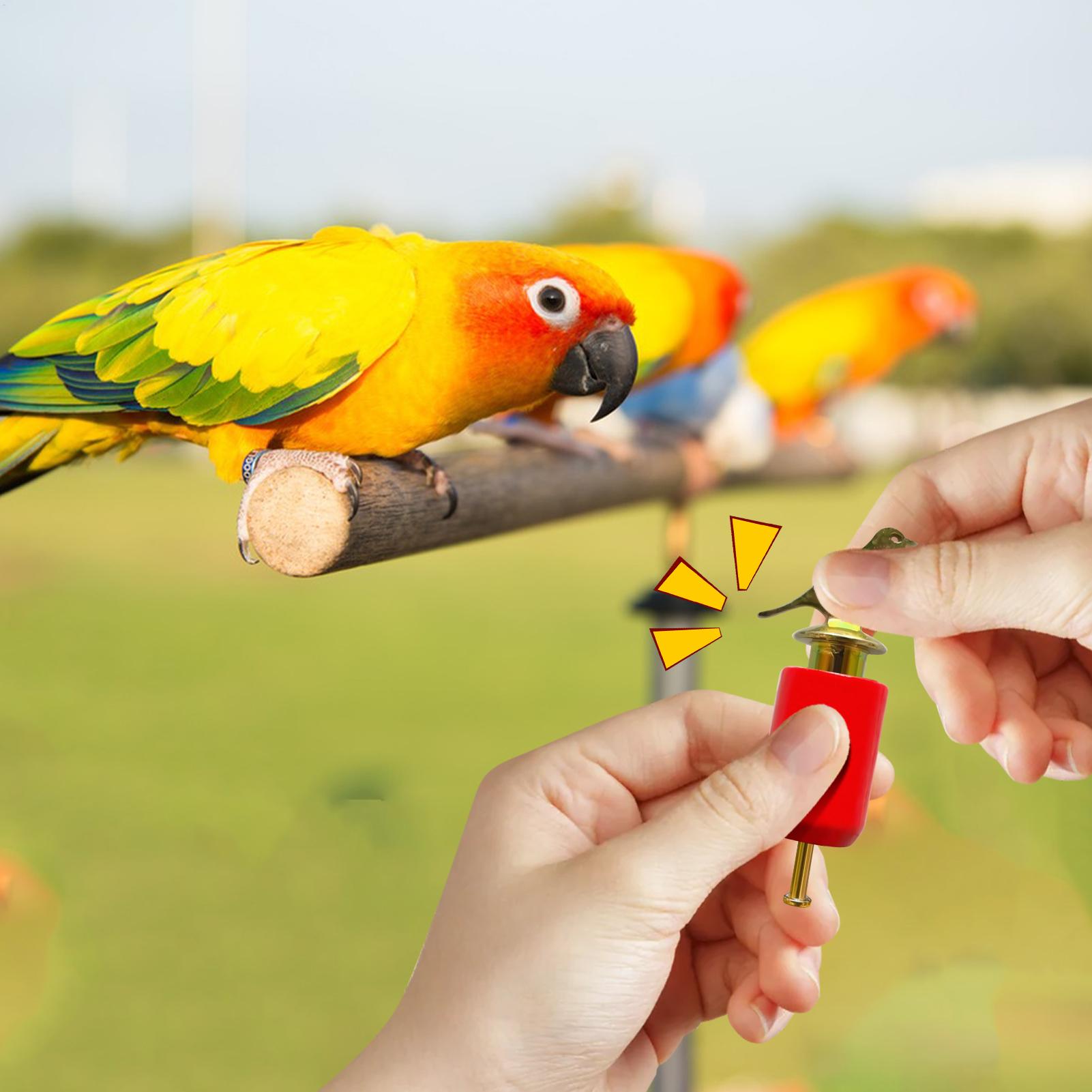 Bird Call Whistle Realistic Ho - Game Call Whistle review and price