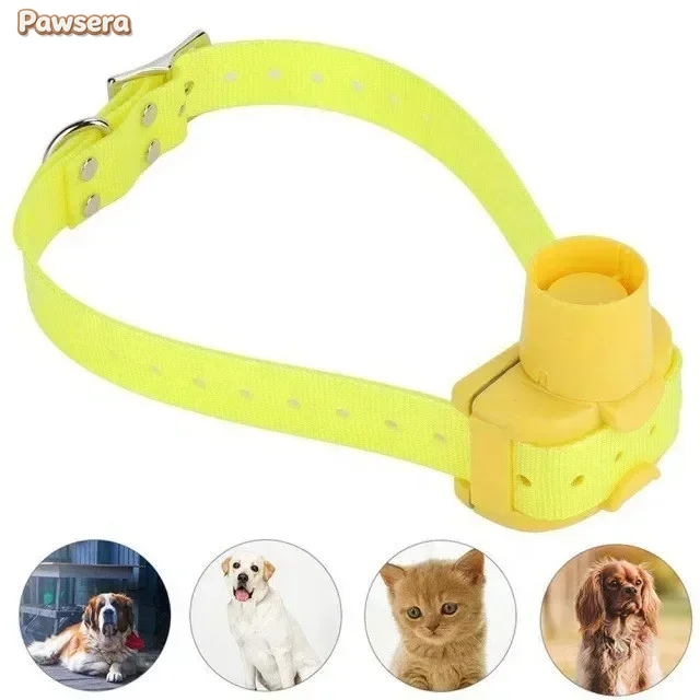 Pawsera Outdoor Hunting Dog Co - Outdoor Hunting Dog Collar review and price