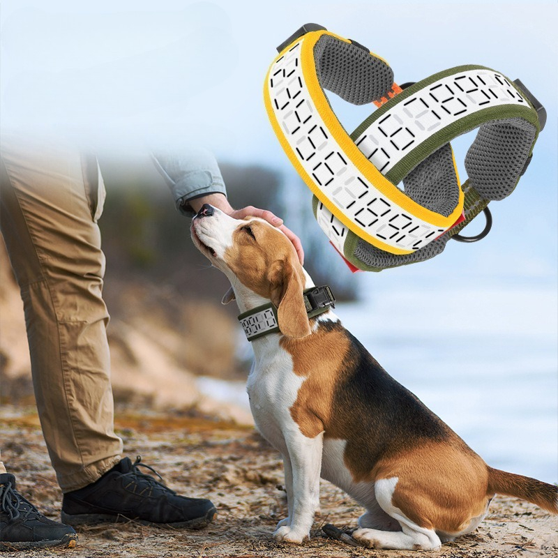 Outdoor Reflective Dog Collar  - Outdoor Hunting Dog Collar review and price