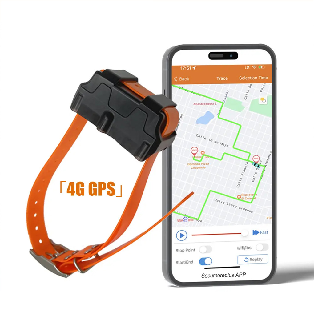 CY09A Portable Pet GPS Tracker - Outdoor Hunting Dog Collar review and price