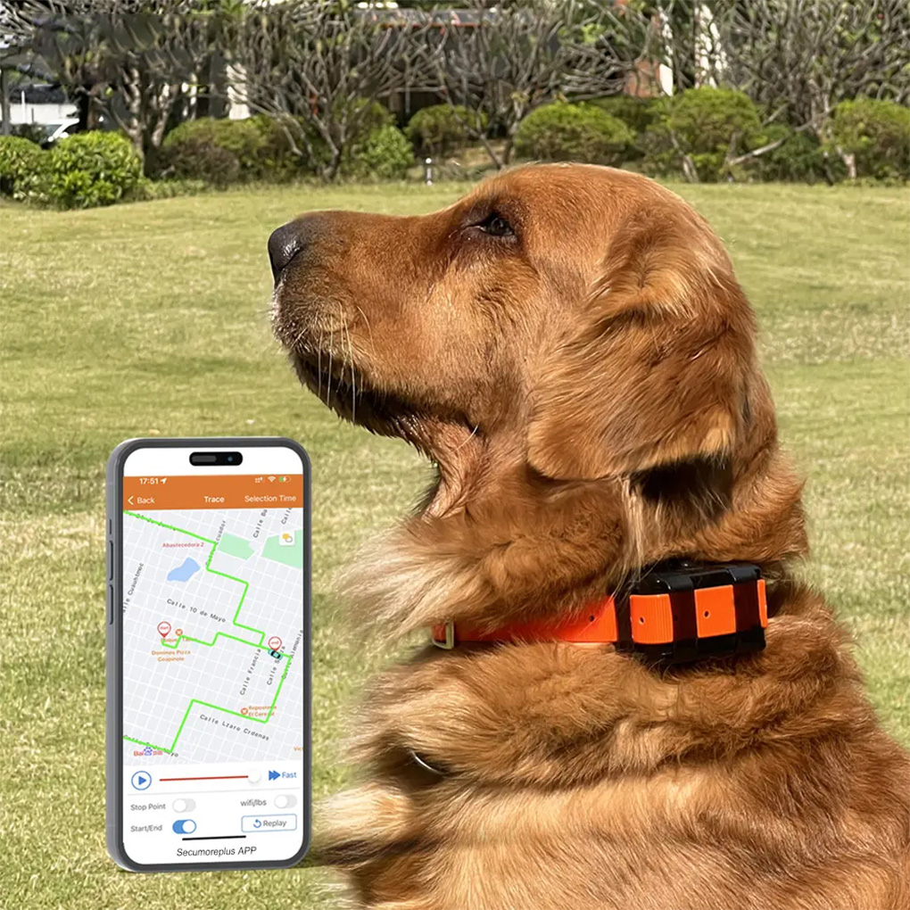 CY09A Portable Pet GPS Tracker - Outdoor Hunting Dog Collar review and price