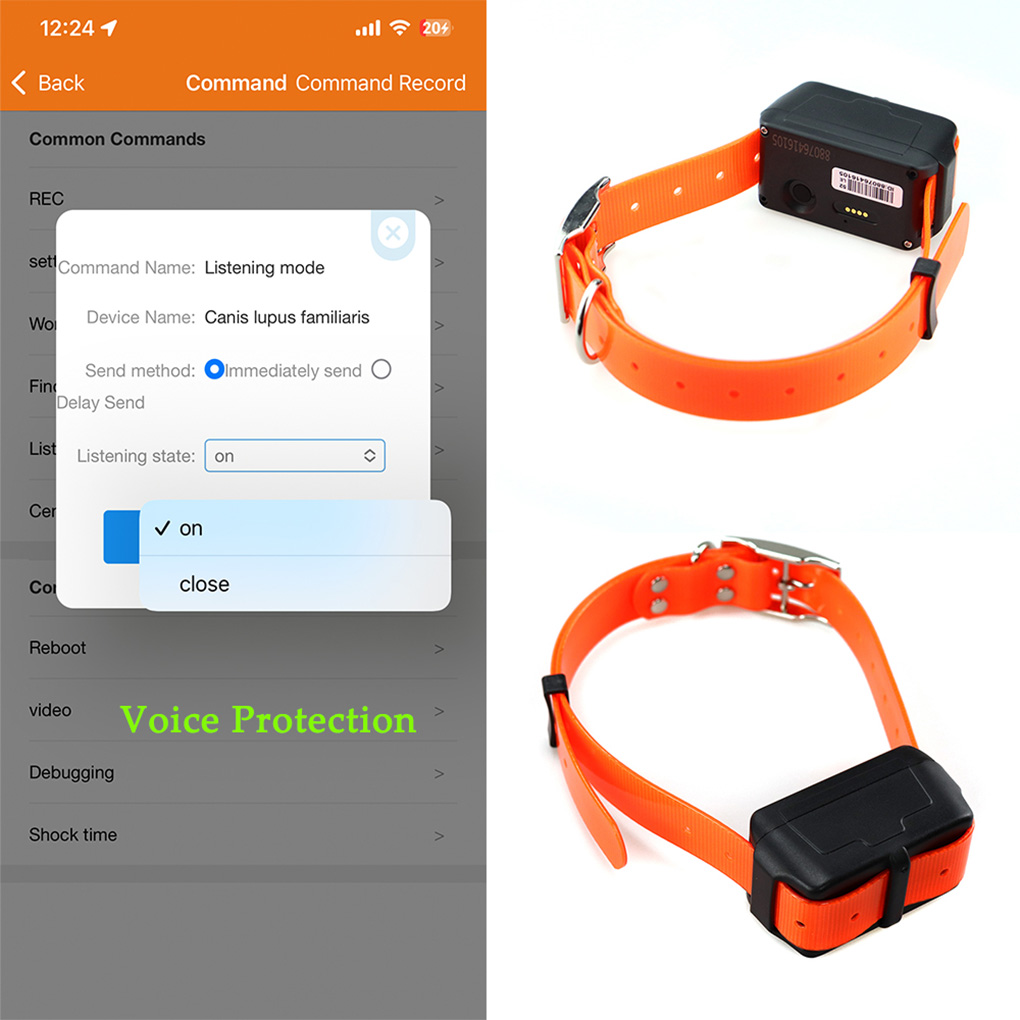 CY09A Portable Pet GPS Tracker - Outdoor Hunting Dog Collar review and price