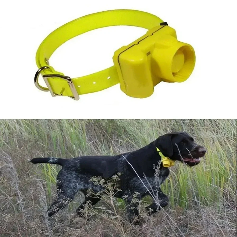 Updated Outdoor Hunting Dog Be - Outdoor Hunting Dog Collar review and price