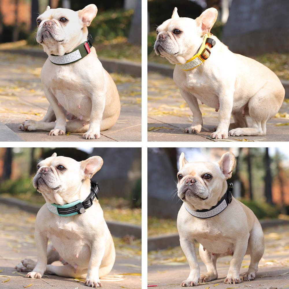 Outdoor Reflective Dog Collar  - Outdoor Hunting Dog Collar review and price