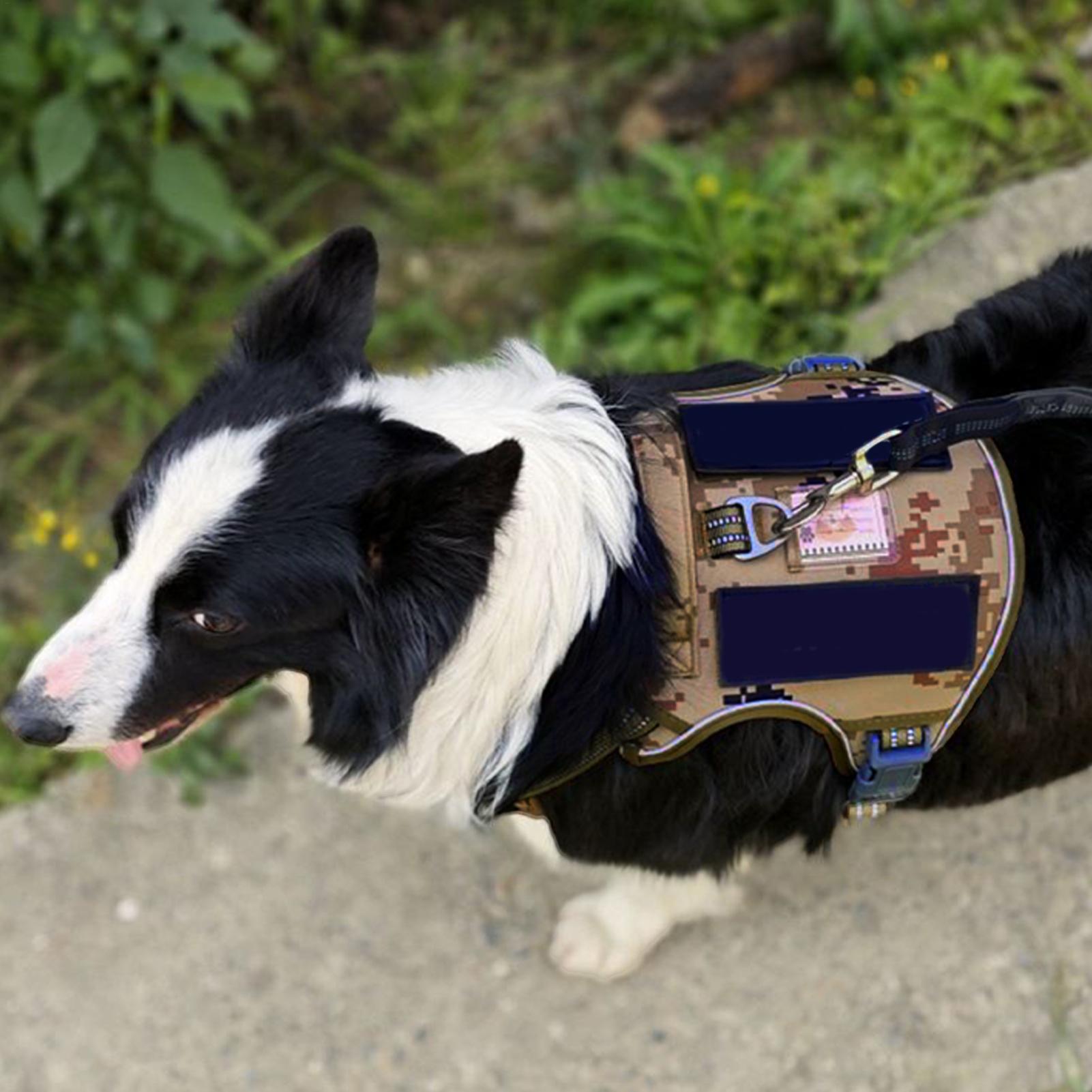 Dog Harness Metal Buckle Dog T - Outdoor Hunting Dog Collar review and price