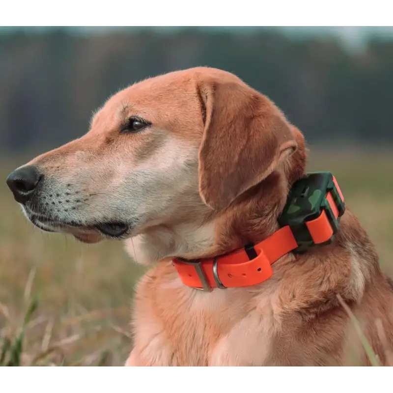 ICAR IK122M 2000mah Collar 4G  - Outdoor Hunting Dog Collar review and price
