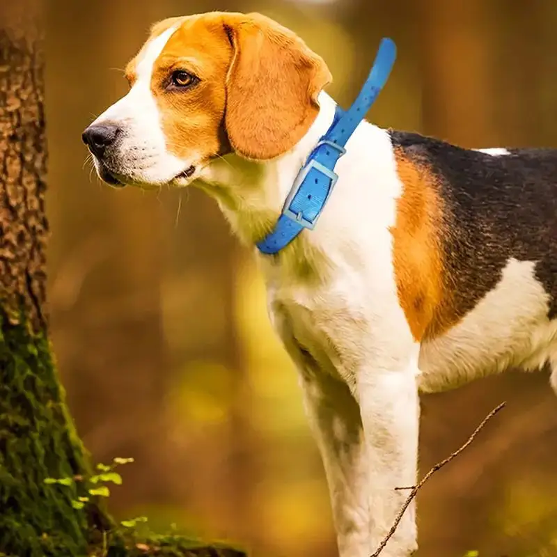 TPU Outdoor Pet Safety Collar  - Outdoor Hunting Dog Collar review and price