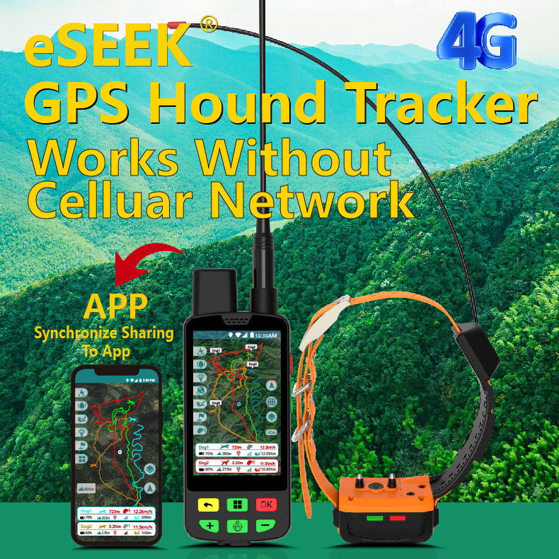 Wholesale 4G GPS Dog Collar an - Outdoor Hunting Dog Collar review and price