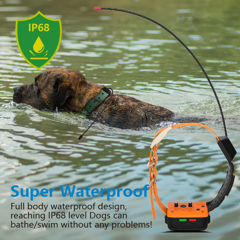 Wholesale 4G GPS Dog Collar an - Outdoor Hunting Dog Collar review and price